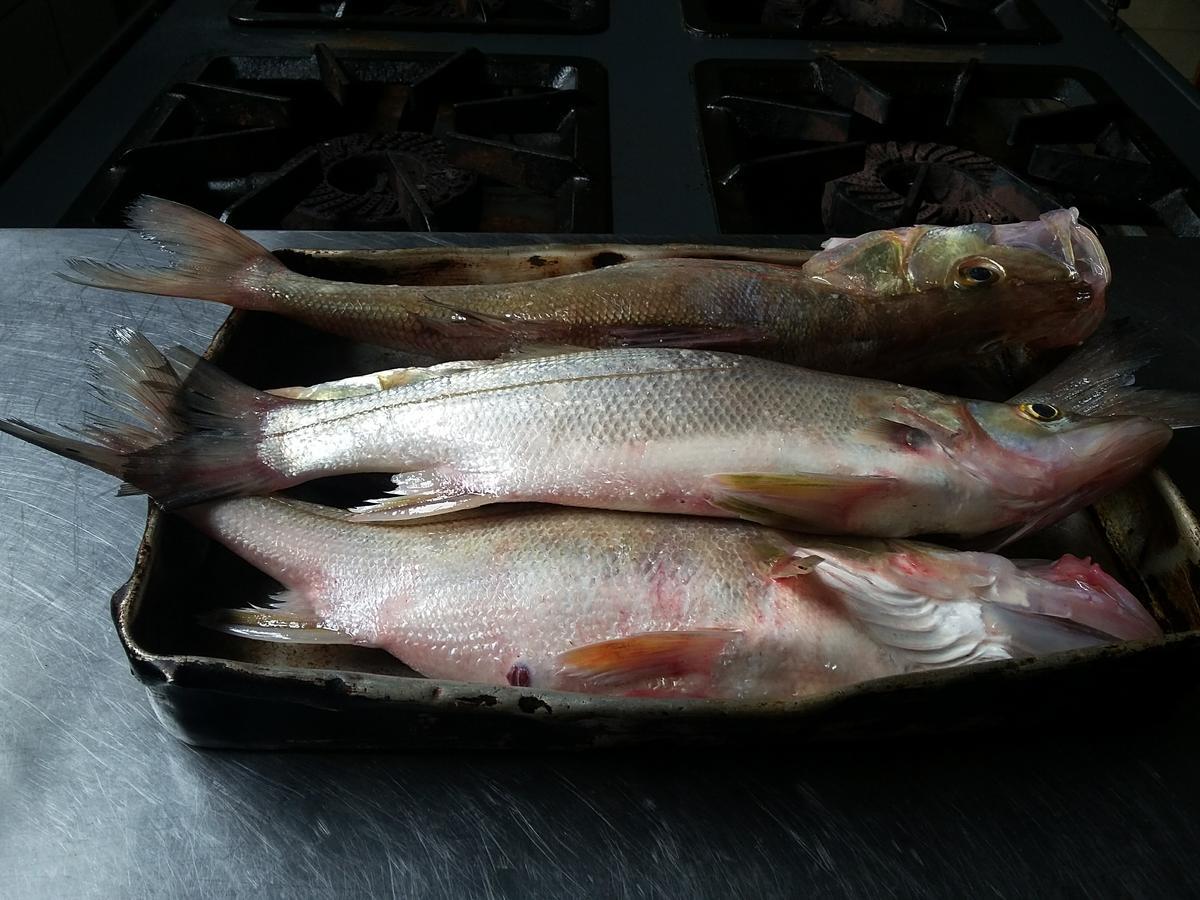 Pousada Chef Brasil Barra Velha  Extérieur photo