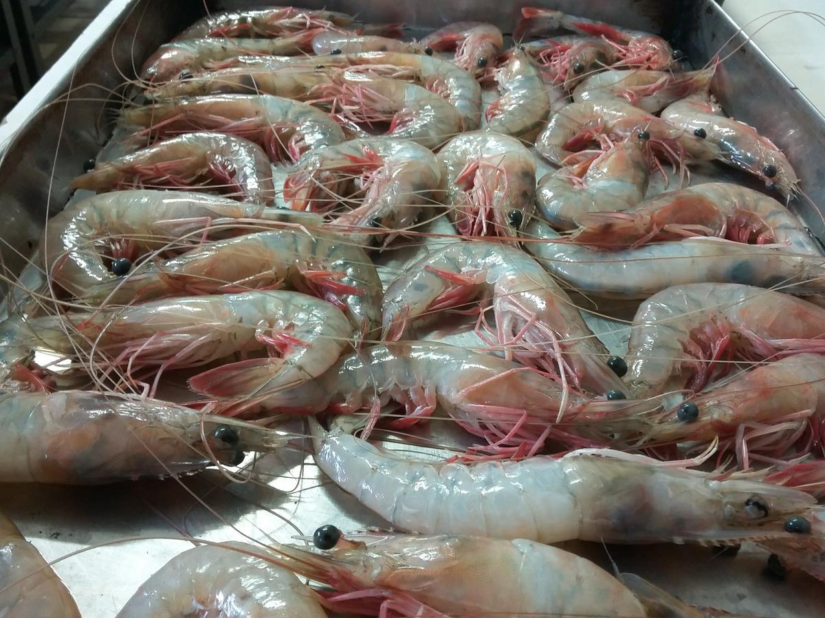 Pousada Chef Brasil Barra Velha  Extérieur photo